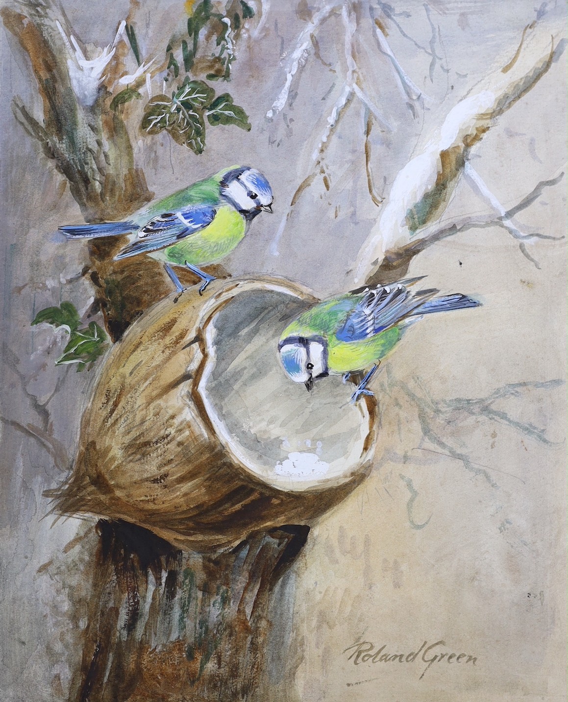 Roland Green (1890-1972), four watercolours, garden birds, signed, unframed, largest 28 x 23cm